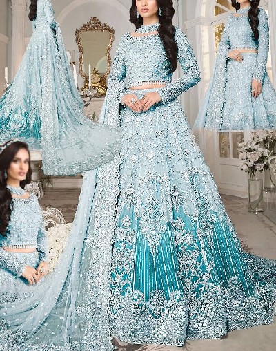 Luxury Handwork & Heavy Embroidered Net Bridal Maxi Dress 2024 Price in Pakistan