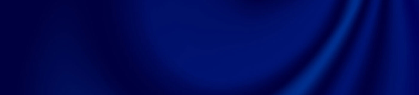 Blue Wedding Dresses