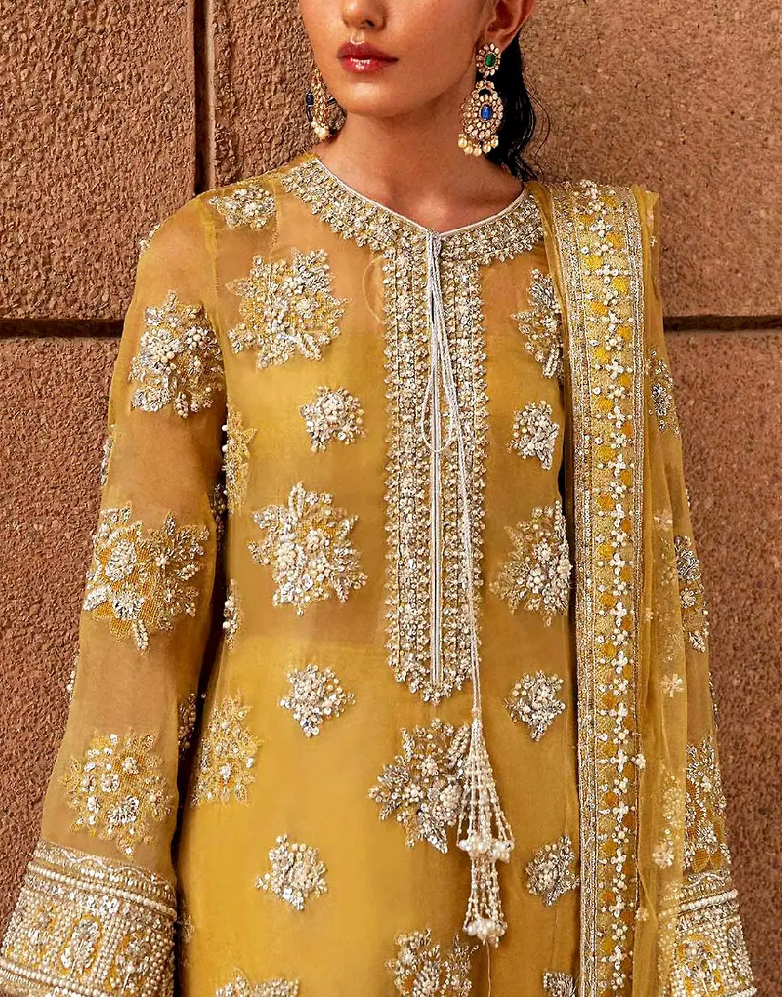 Luxurious Handwork Embroidered Organza Bridal Dress - Ideal for Mehndi Event