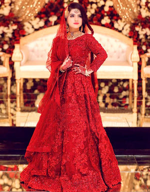 3D & Handwork Heavy Embroidered Net Bridal Maxi Dress