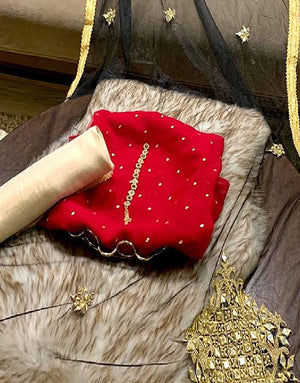 Fancy Chiffon Party Wear Dress with Mirror Work Net Dupatta