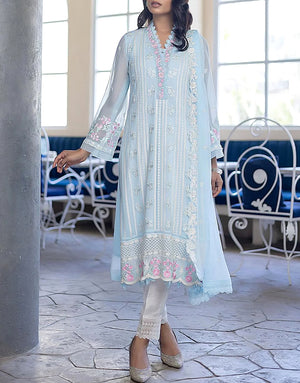 Heavy Embroidered Formal Chiffon Party Dress 2024