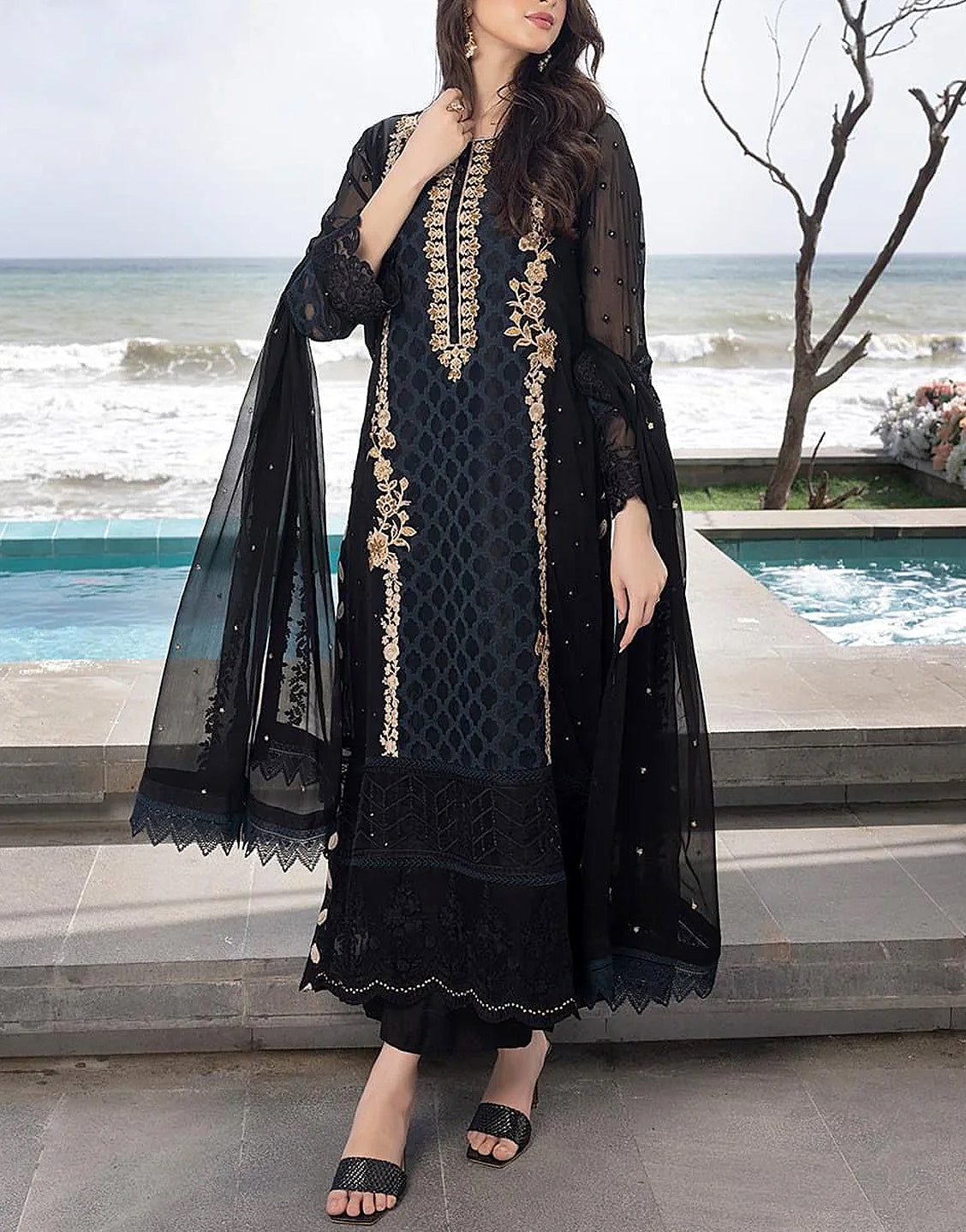 Adorable Heavy Embroidered Black Chiffon Wedding Dress – Best Price Online  in Pakistan