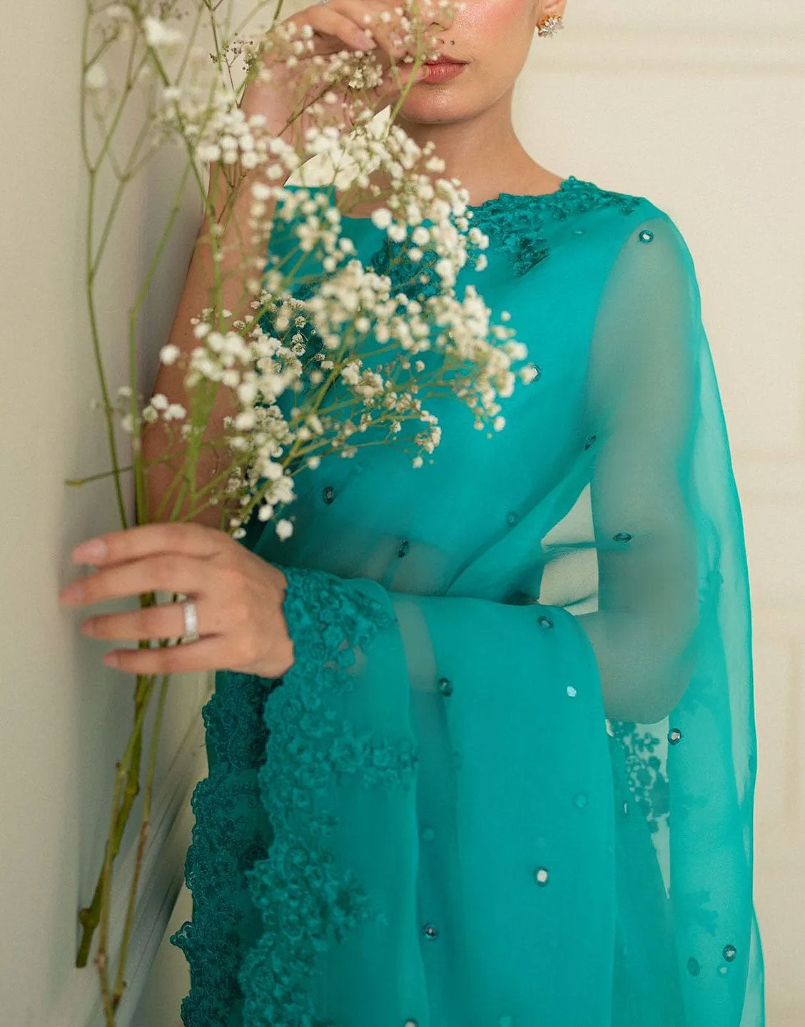 Agha Noor Luxury Organza Party Wear Saree Dress | BR-3830