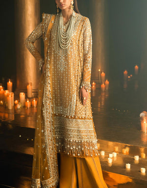 Sana Safinaz Luxury Formal Organza Wedding Dress | L241-002B-3CT