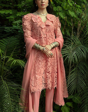 So Kamal 3D Schiffli Embroidered Lawn Dress | AURA D818