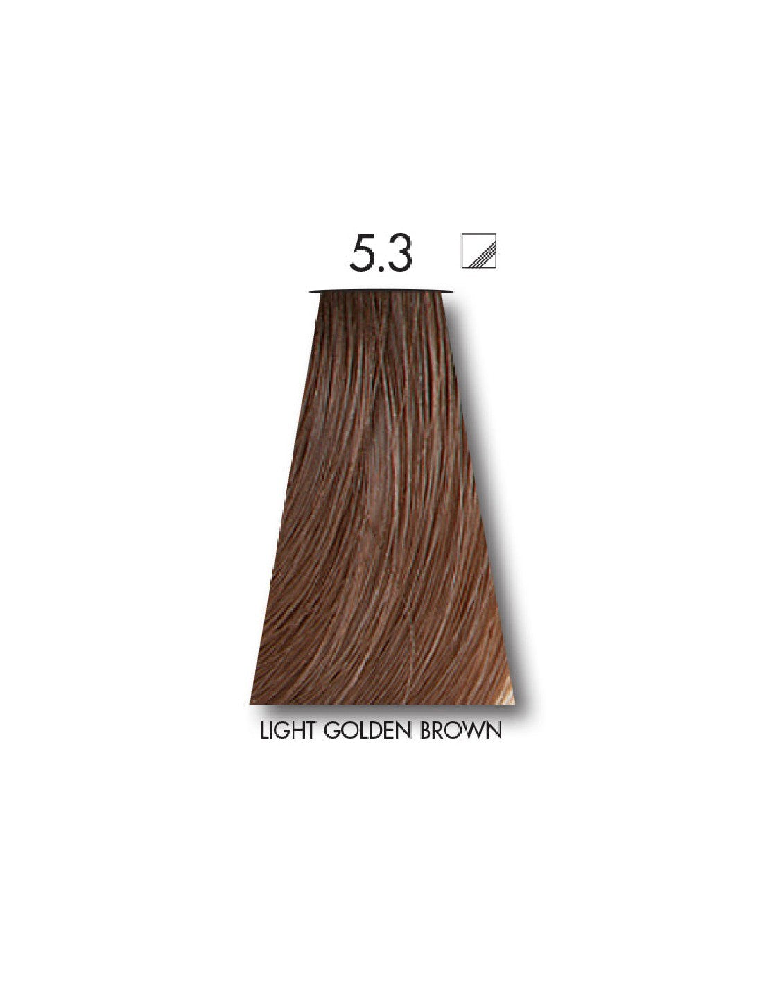Keune Tinta Hair Color 5.3 Light Golden Brown