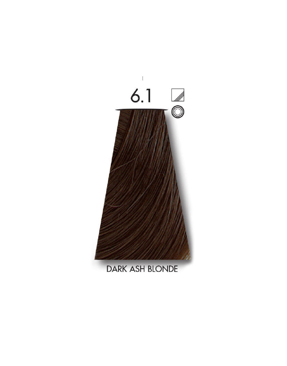 Keune Tinta Hair Color 6.1 Dark Ash Blonde