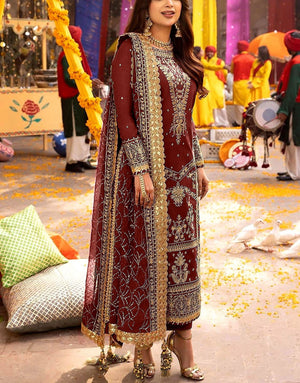 Fancy Embroidered Chiffon Party Wear Dress