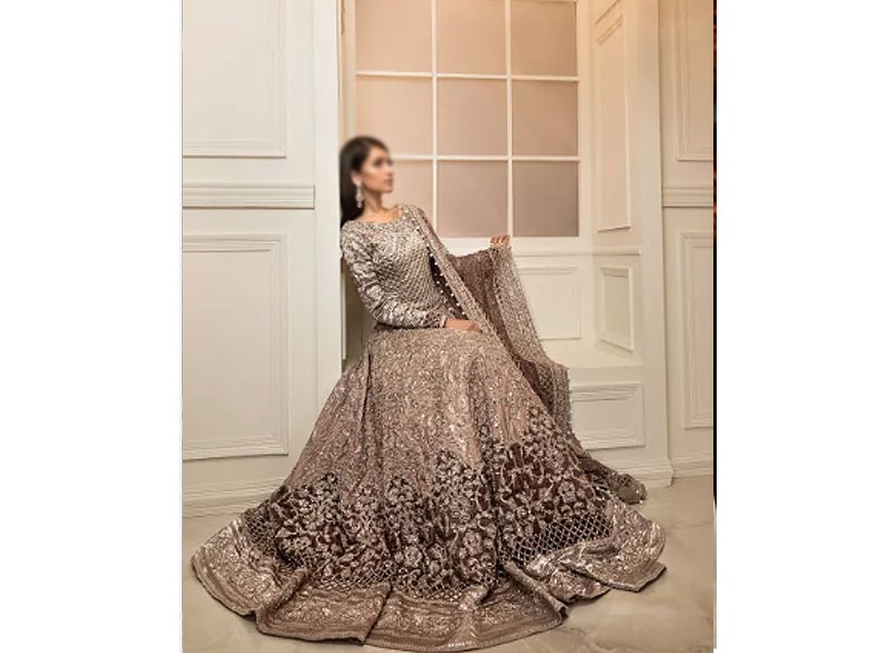 Heavy Embroidered Organza Party Wear Dress 2024