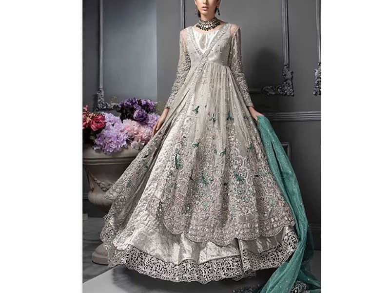 Heavy Embroidered Organza Party Wear Dress 2024