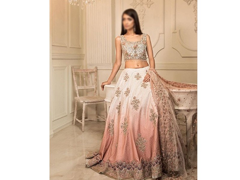 Heavy Embroidered Organza Party Wear Dress 2024