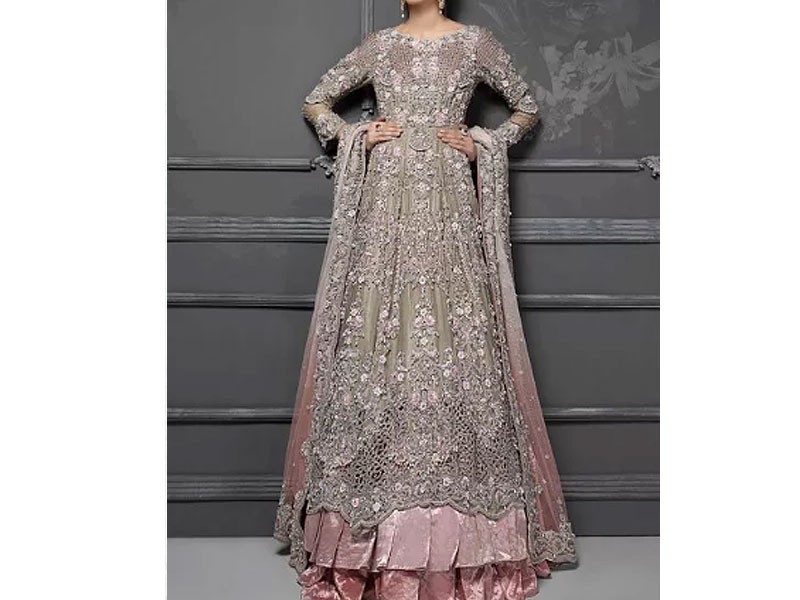 Heavy Embroidered Organza Party Wear Dress 2024