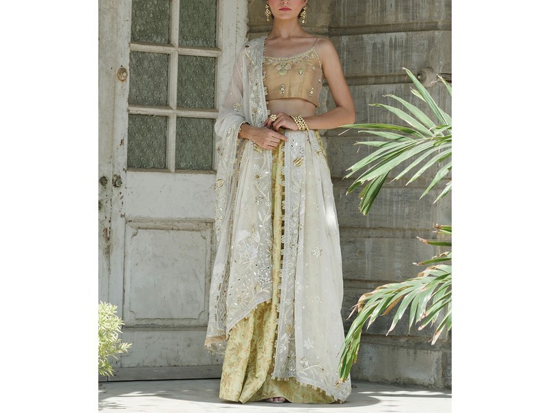 Heavy Embroidered Organza Party Wear Dress 2024