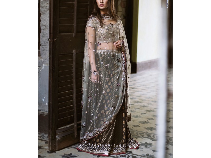 Heavy Embroidered Organza Party Wear Dress 2024