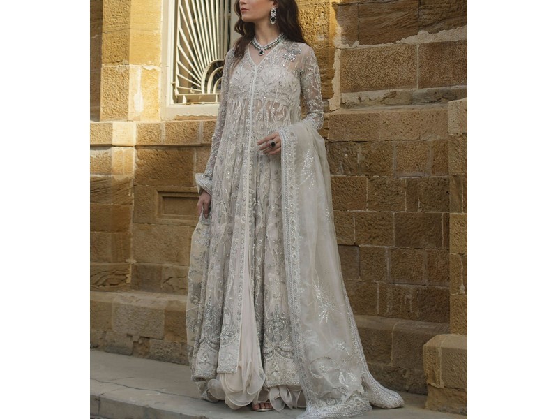 Heavy Embroidered Organza Party Wear Dress 2024