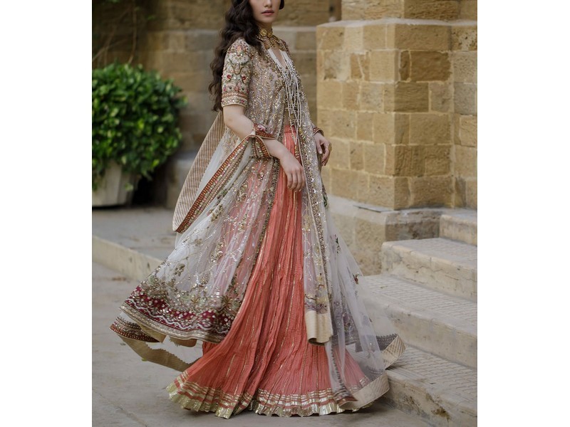 Heavy Embroidered Organza Party Wear Dress 2024