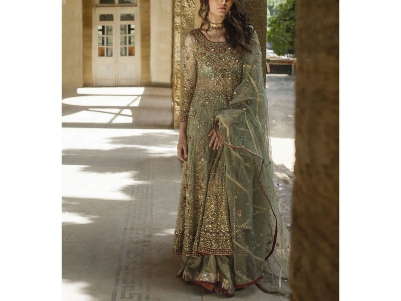 Heavy Embroidered Organza Party Wear Dress 2024