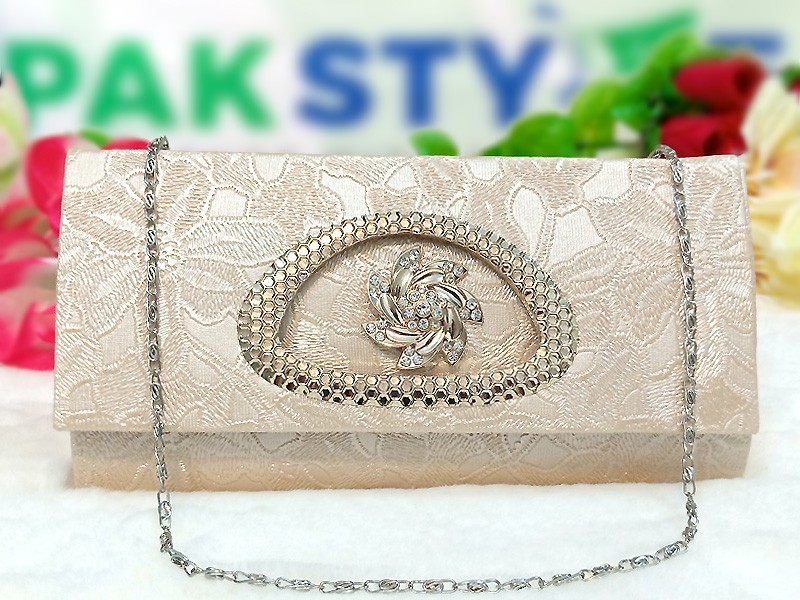 Fancy Party Wear & Bridal Clutches 2024 in Pakistan