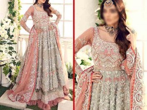 Net Bridal & Party Wear Dresses 2025 in Pakistan