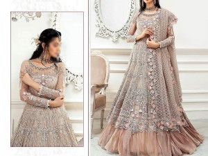 2-Piece Embroidered Fancy Net Party Wear Dress 2024