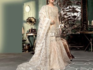 2-Piece Embroidered Fancy Net Party Wear Dress 2024