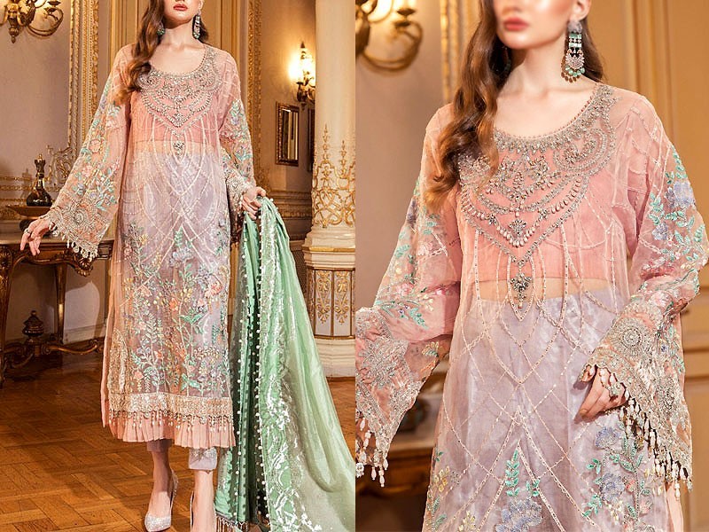 Heavy Embroidered Organza Party Wear Dress 2024