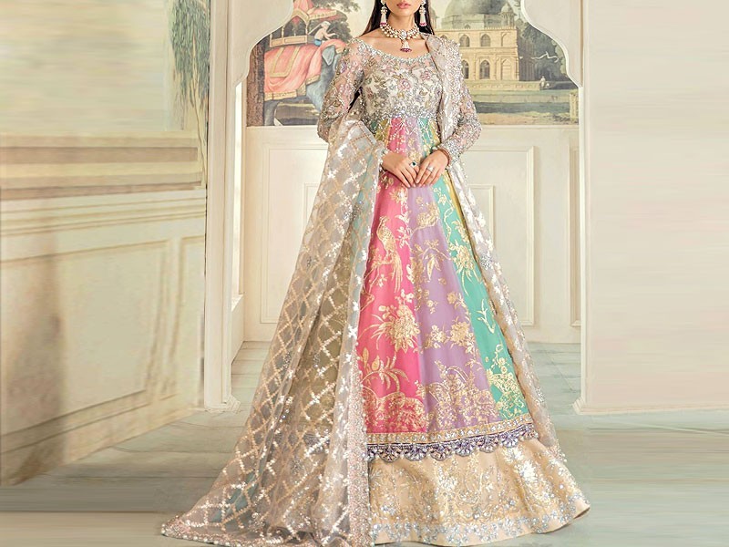 Heavy Embroidered Organza Party Wear Dress 2024