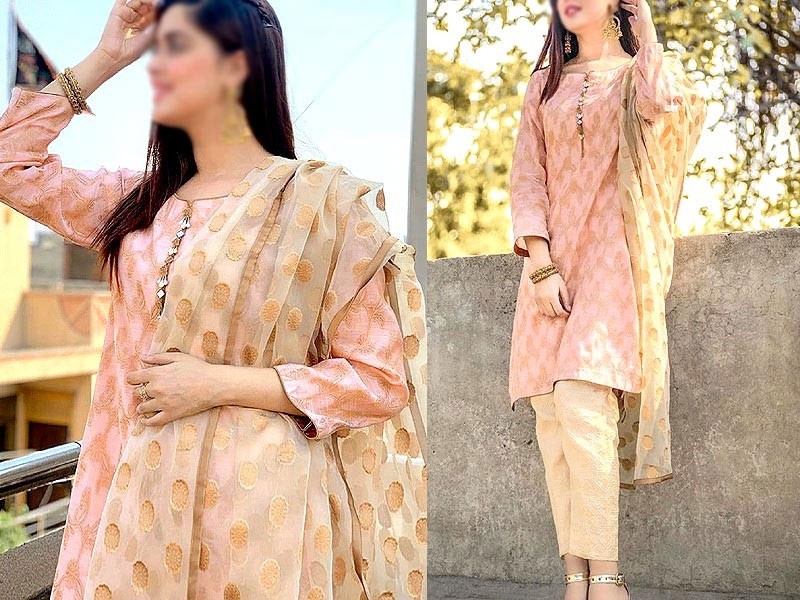 Organza Formal Party Wear Dresses 2025 in Pakistan