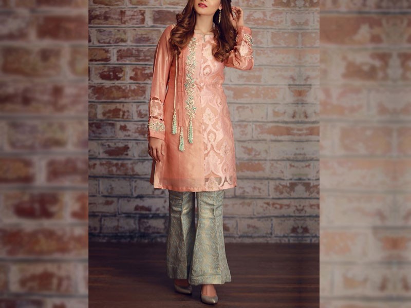 Organza Formal Party Wear Dresses 2025 in Pakistan
