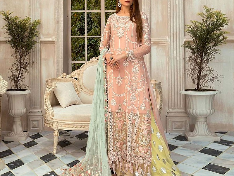 Heavy Embroidered Organza Party Wear Dress 2024