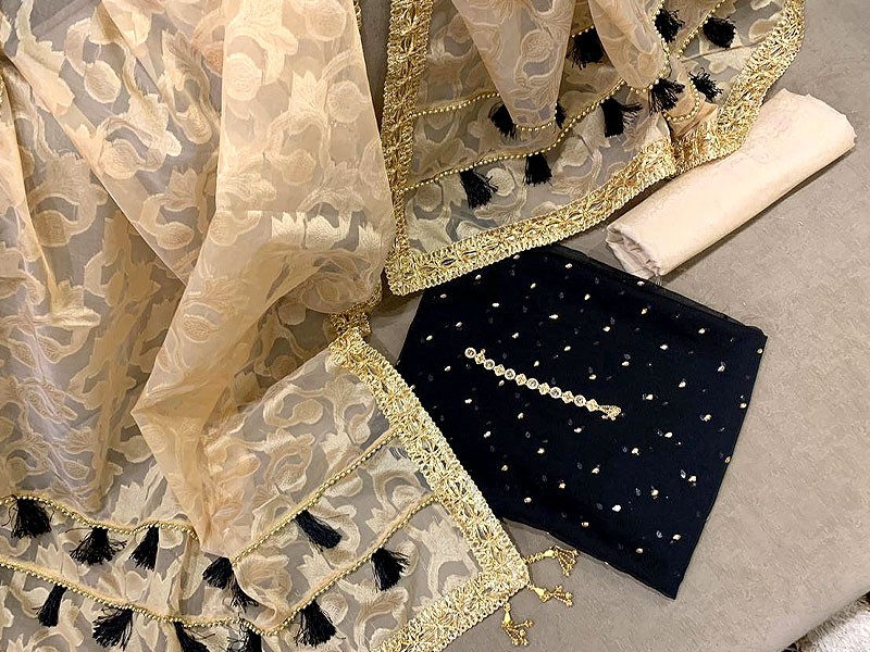 Organza Formal Party Wear Dresses 2025 in Pakistan