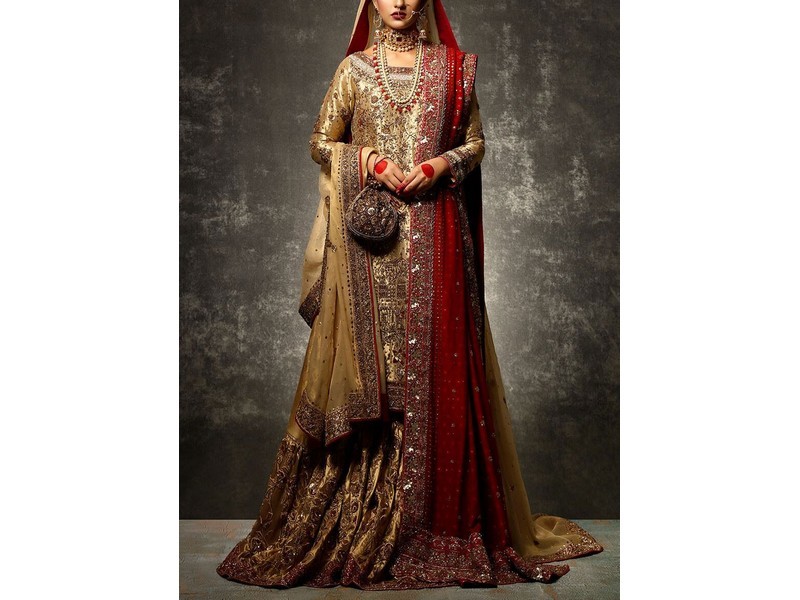 Ayesha Ibrahim Luxury Bridal Dresses Collection 2021