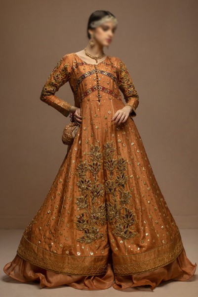 Ayesha Ibrahim Luxury Wedding & Party Wear Collection 2022