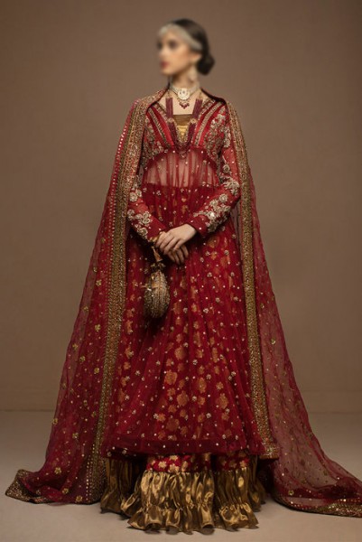 Ayesha Ibrahim Luxury Wedding & Party Wear Collection 2022