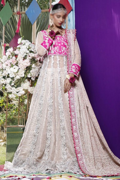 Ayesha Ibrahim Luxury Wedding & Party Wear Collection 2022
