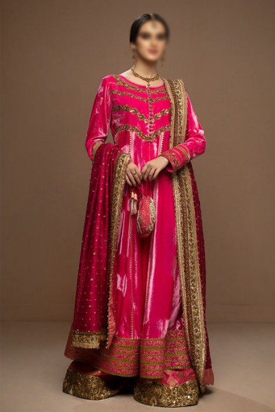 Ayesha Ibrahim Luxury Wedding & Party Wear Collection 2022