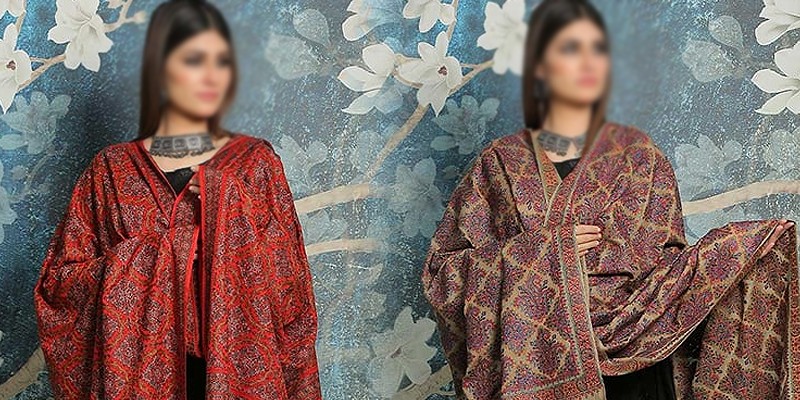 Bareeze Winter Collection Online in Pakistan