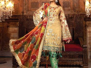 Heavy Embroidered Net Wedding Dress with Organza Net Dupatta Price in Pakistan