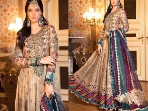 Heavy Embroidered Net Maxi Dress 2024 with Chiffon Dupatta Price in Pakistan