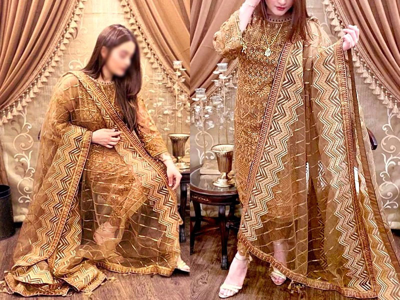 Heavy Embroidered Formal Chiffon Party Wear Dress 2024 Price in Pakistan