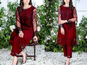 2-Piece Embroidered Fancy Net Party Wear Dress 2024 Price in Pakistan