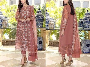 Heavy Embroidered Organza Wedding Dress 2024 Price in Pakistan