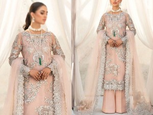 Handwork Heavy Embroidered Net Wedding Dress 2024 with Inner Price in Pakistan