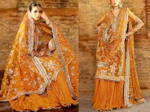 Luxury Handwork Embroidered Net Wedding Dress with Crushed Silk Gharara