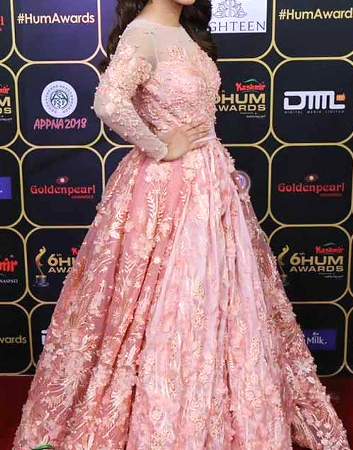 Handwork & Heavy Embroidered Pink Net Maxi Dress