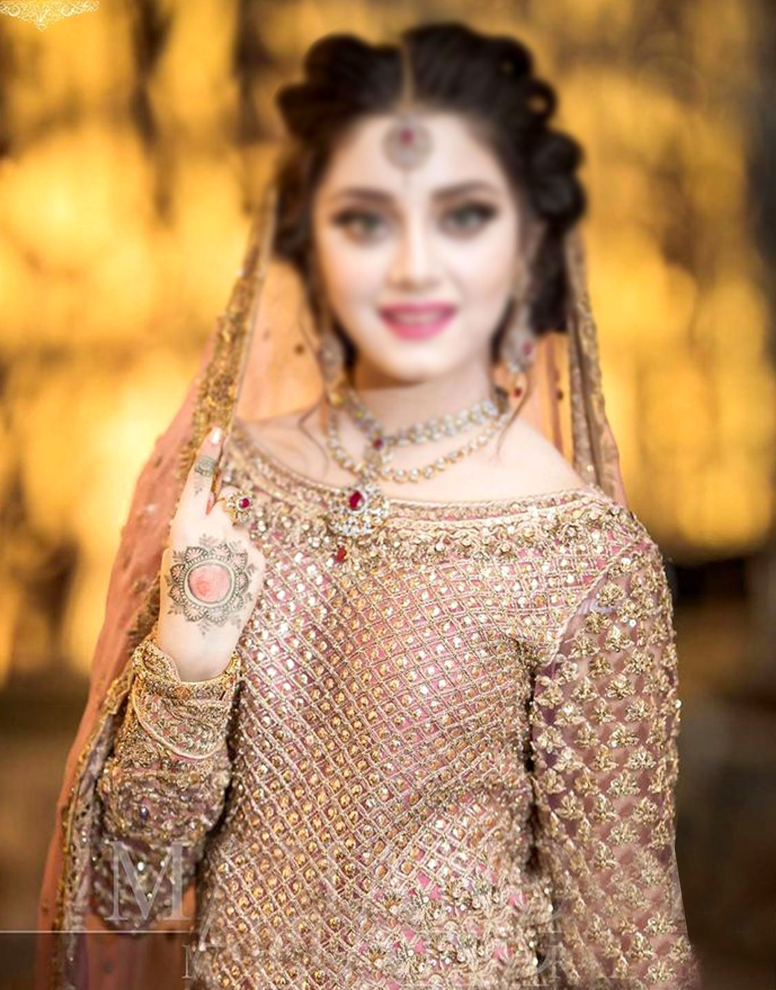 Heavy Embroidered Net Bridal Maxi Dress with Heavy Border Net Dupatta