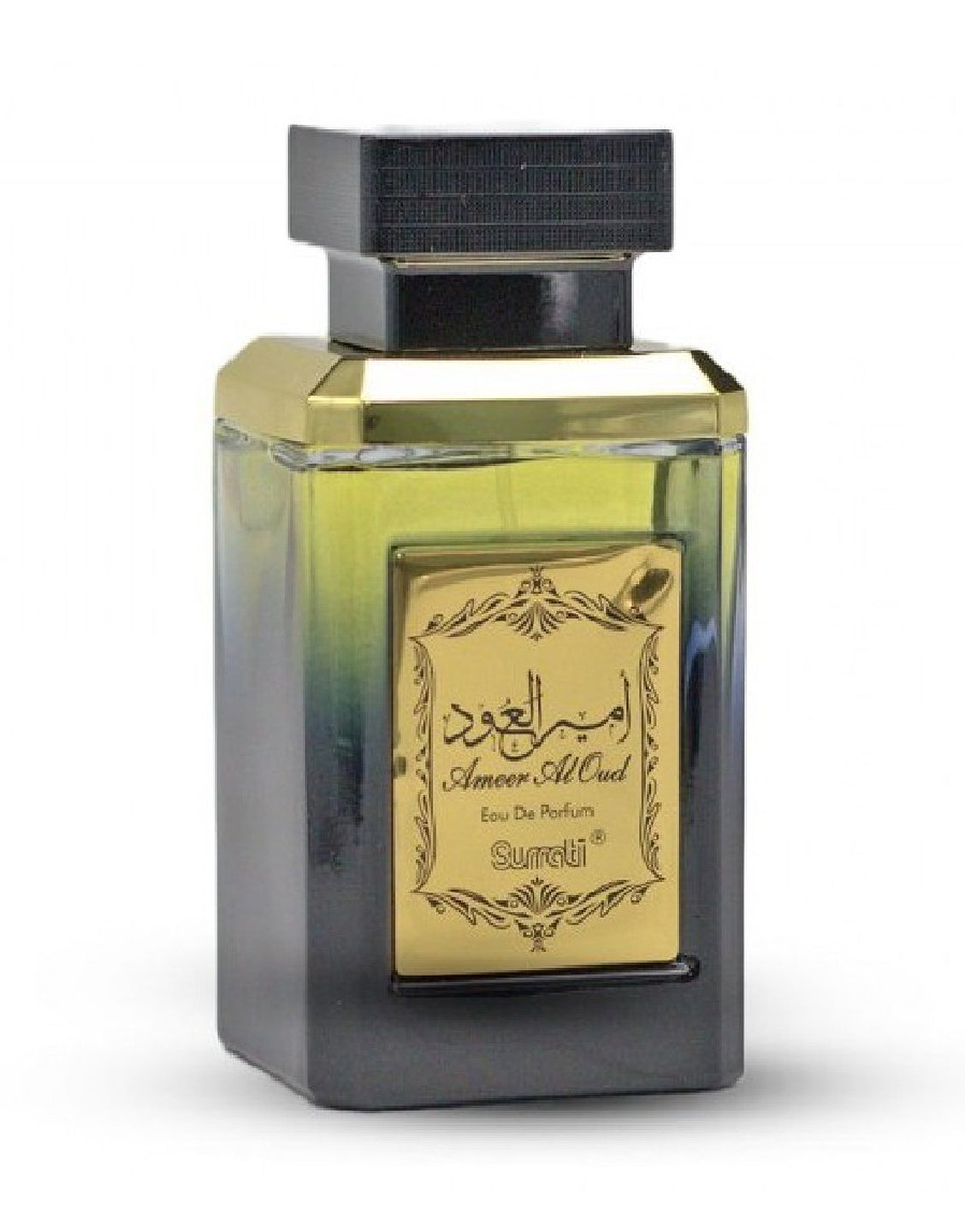 Surrati Ameer Al Oud Perfume 100 ML – Best Price Online in Pakistan