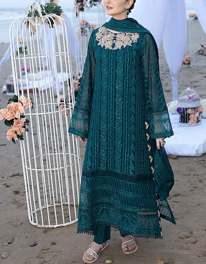 Heavy Embroidered Chiffon Party Wear Dress 2024
