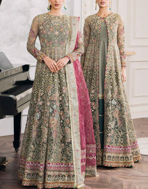 Baroque Embroidered Net Party Wear Maxi Dress | CH12-02